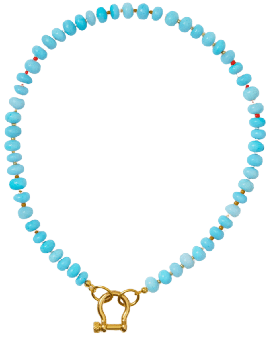 Chicago Spicy Dan x Parke Necklace